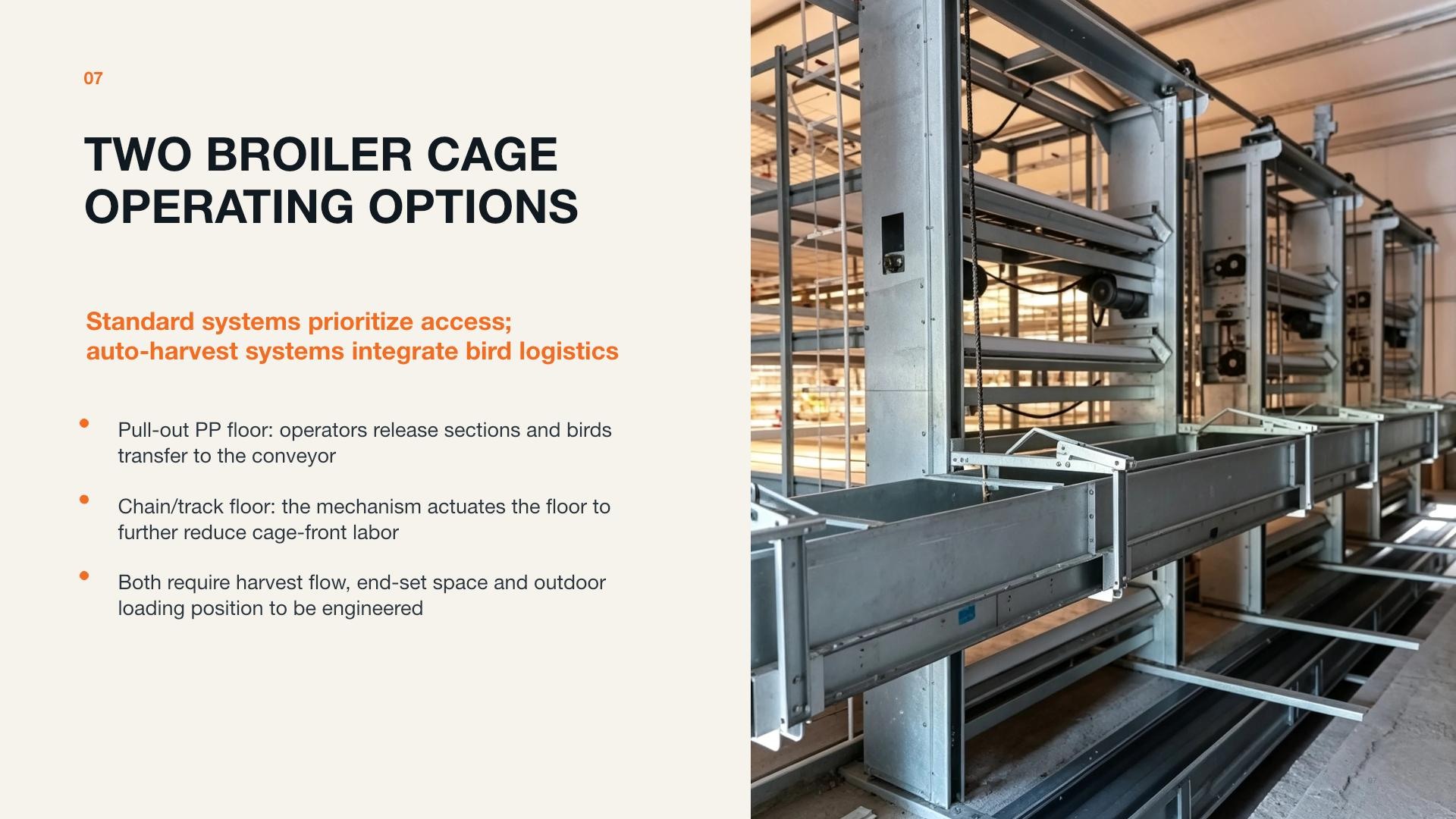 Broiler cage row and collection interface