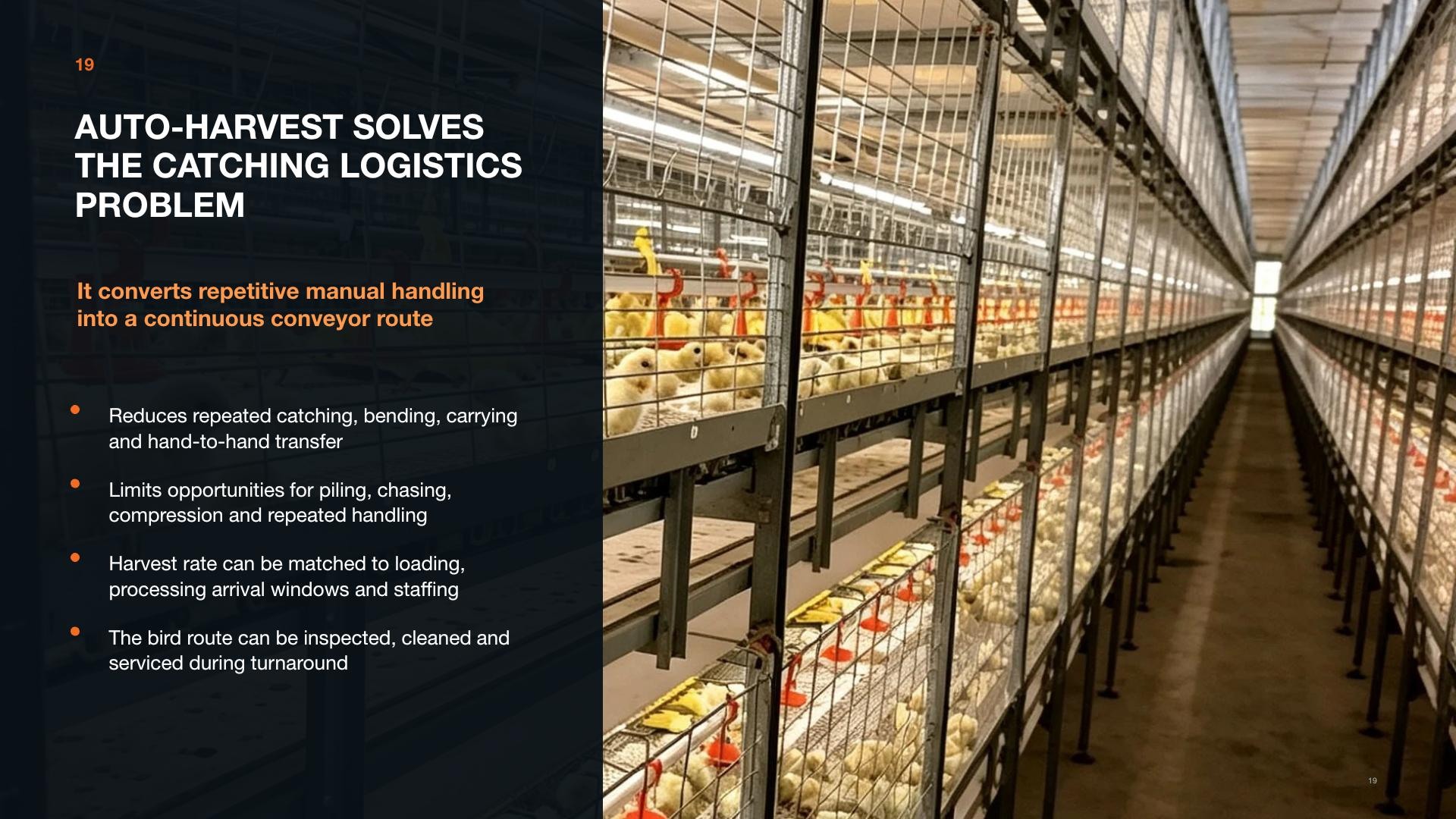 Broiler cage with harvest logistics