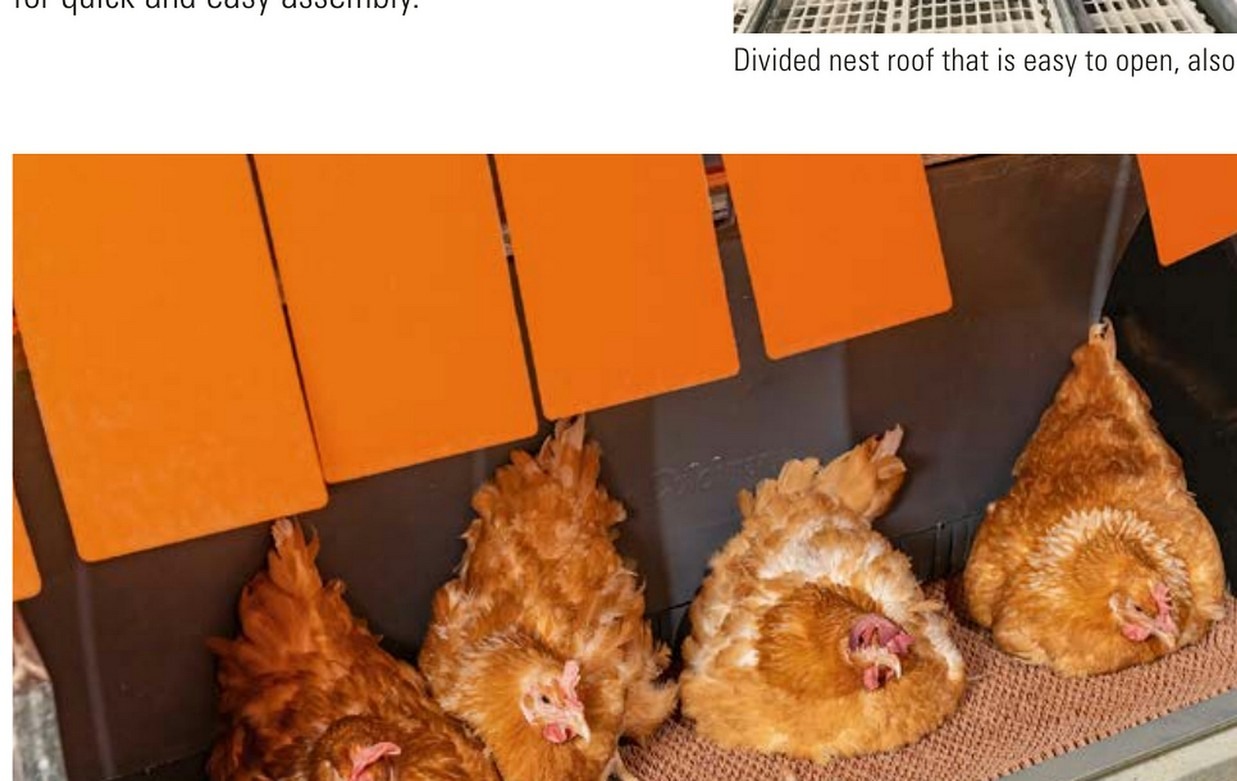 Automatic breeder nest interior