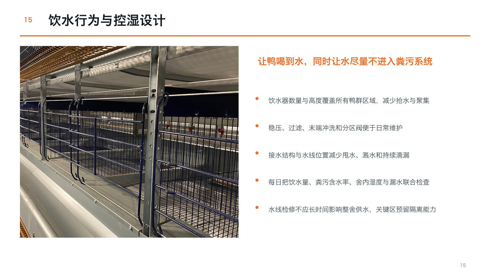 Duck cage row and water access