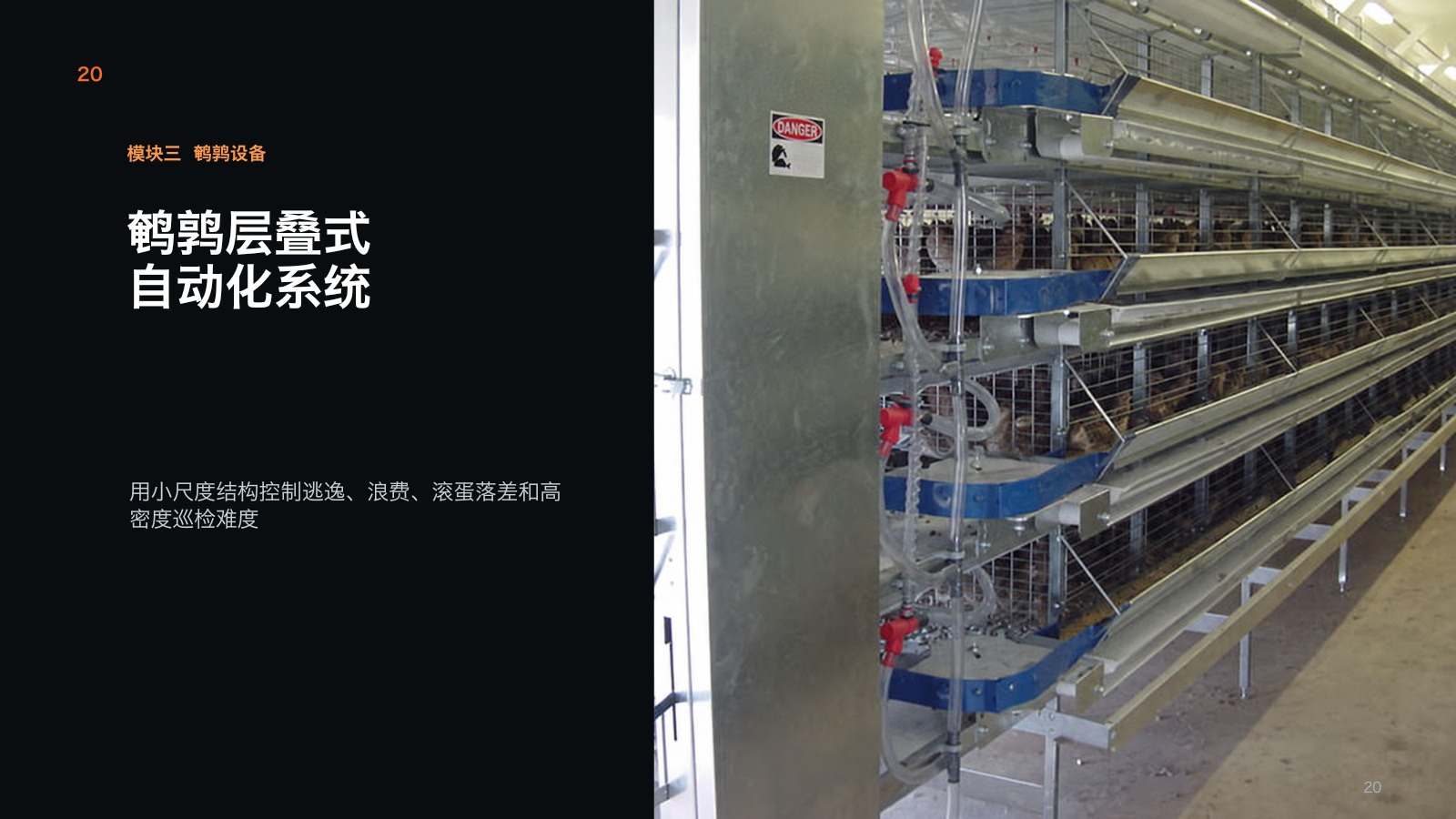 Quail multi-tier cage equipment