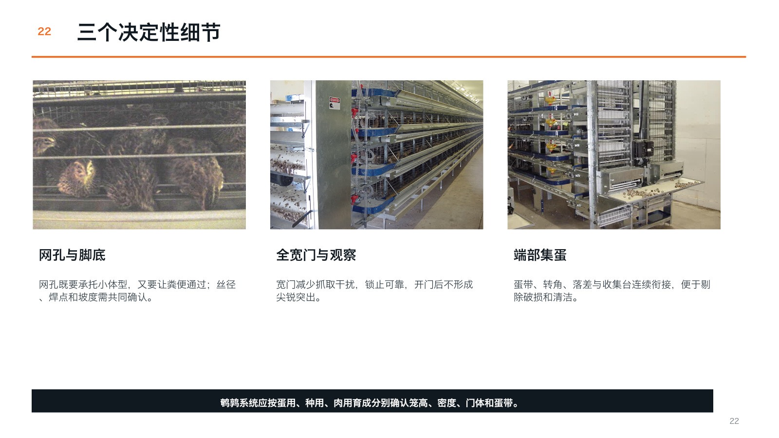 Quail cage structure and egg path
