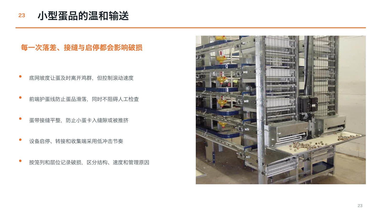 Cage opening and small-egg handling