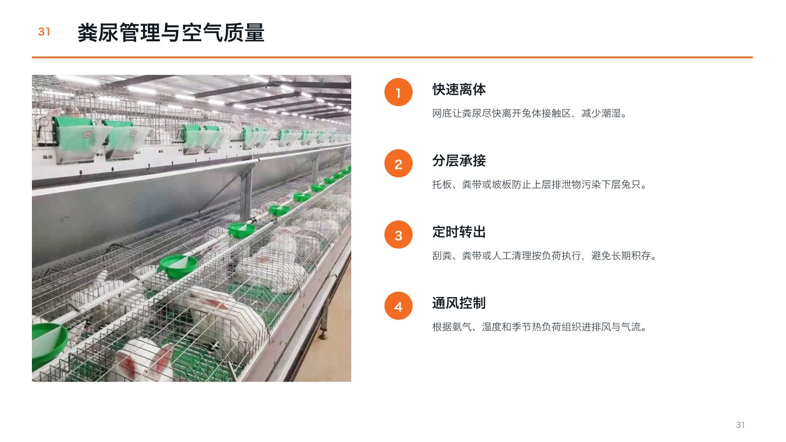 Water, feeding and cleaning route