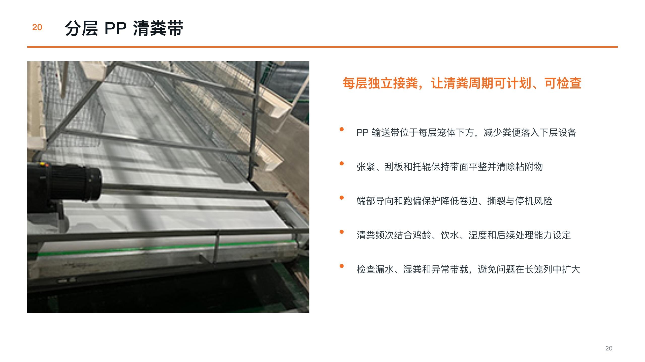 Polypropylene manure belt detail